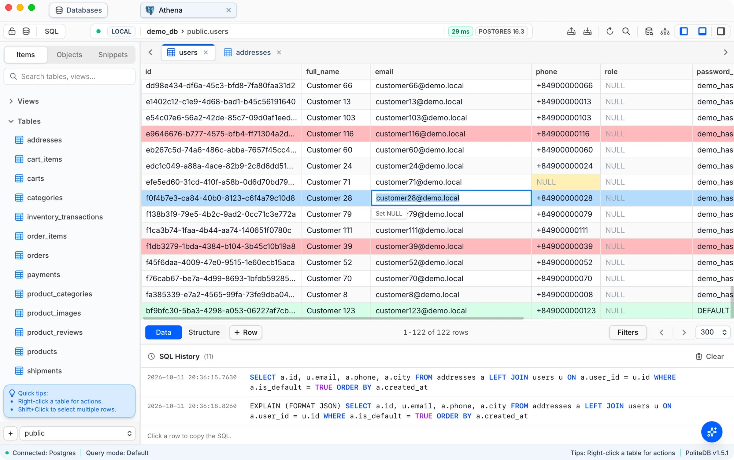 PoliteDB data grid showing query results